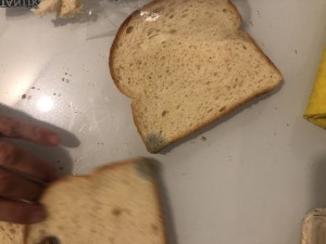 Getir Küflenmiş Ekmek