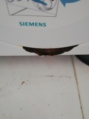 Siemens Pişmanlık