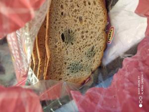 Uno Ekmek Küflenmiş Ekmek